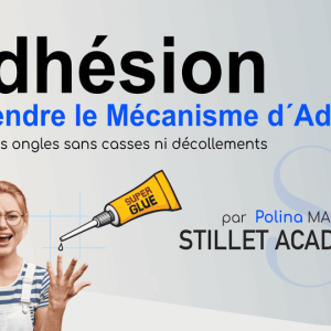 Perfectionnement - Module "Adhésion"